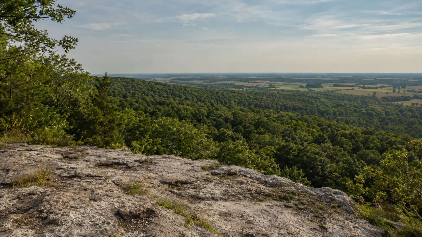 A Niagara Escarpment lookout over forest and farmland